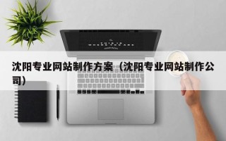 当阳沈阳专业网站制作方案（沈阳专业网站制作公司）